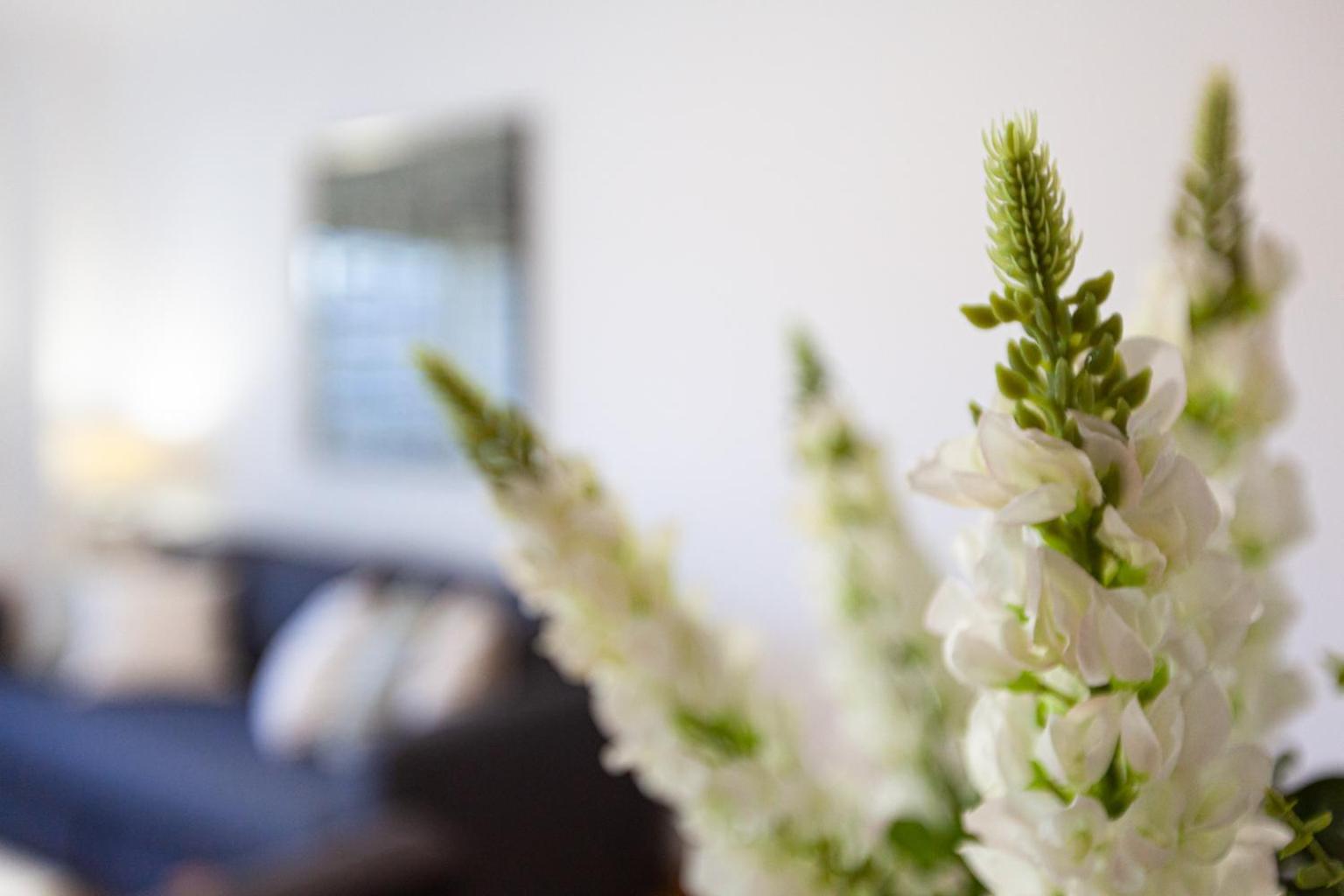 Apartamento Lisboa Sete Rios Ngoại thất bức ảnh